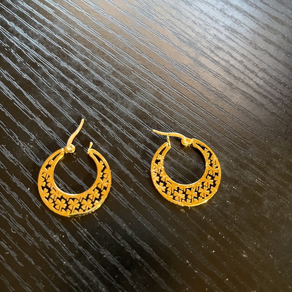 Earrings